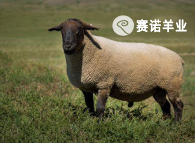 薩?？?>
                                            </a>
                                            薩?？?
                                        </div>
                                    </li>
                                                                    <li>
                                        <div   id=